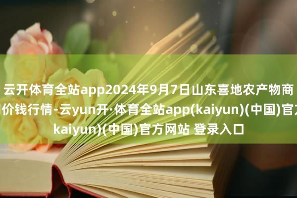 云开体育全站app2024年9月7日山东喜地农产物商场贬责有限公司价钱行情-云yun开·体育全站app(kaiyun)(中国)官方网站 登录入口