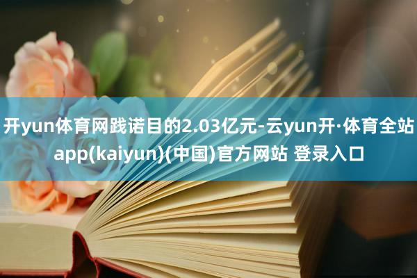 开yun体育网践诺目的2.03亿元-云yun开·体育全站app(kaiyun)(中国)官方网站 登录入口