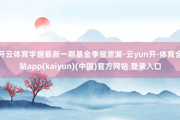 开云体育字据最新一期基金季报泄漏-云yun开·体育全站app(kaiyun)(中国)官方网站 登录入口