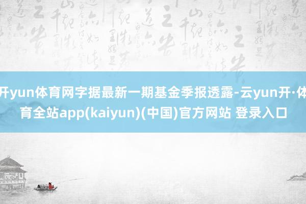 开yun体育网字据最新一期基金季报透露-云yun开·体育全站app(kaiyun)(中国)官方网站 登录入口